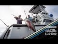 San Diego Bluefin Tuna Fishing, Yummy Flyer Kite Trolling S02 E09 Skip Skip Boom