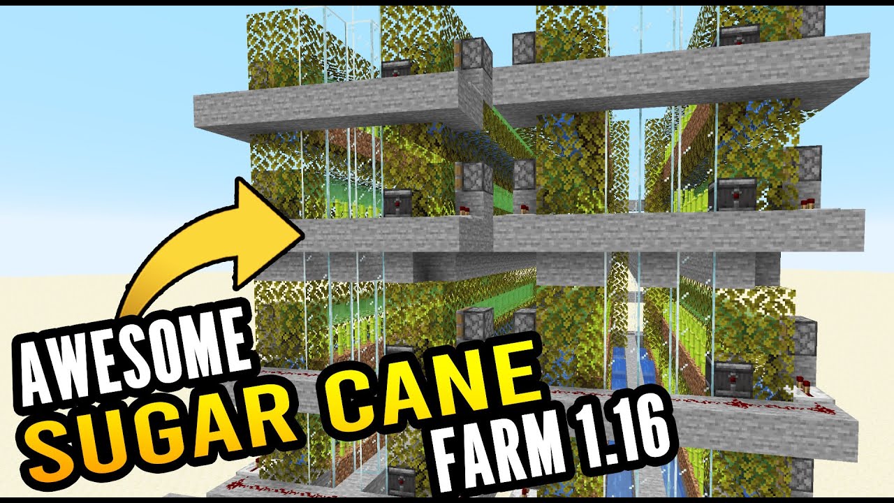 How to Make a Sugar Cane Farm in Minecraft 1.16: Minecraft ...