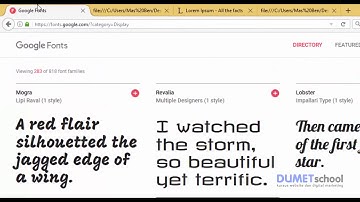 Cara Merubah Font Style Website dengan Menggunakan Google Font