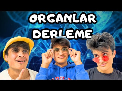 Organlar Serisi Tüm Bölümler Derleme :)