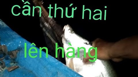 Tuấn vlogs/cắm câu thác lác cườm, một đêm xảy cá liên tục##tuanvlogs#camcauthaclaccuom#