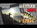 Морской окунь. Я его поймал! Рыбалка на Балтийском море в Польше.