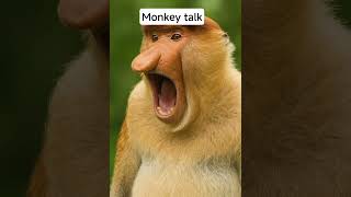 Monkey Chatter