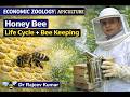 Apiculture Complete Lecture | Honey Bee Species, Life Cycle, & Bee Keeping | Economic Zoology
