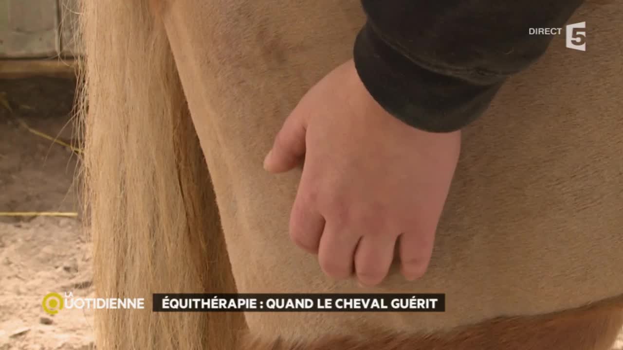 Equithérapie : quand le cheval guérit