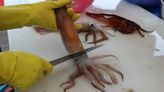 [Korea]- Amazing Seafood Cutting Live Fresh Squid Sashimi