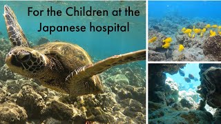 A special request - This video is for the children at the Japanese Hospital  @godisgreat8462