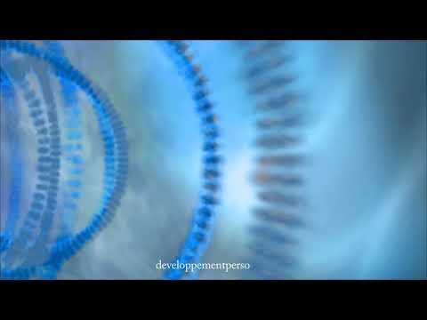 ADN Purification et Transformation 528Hz