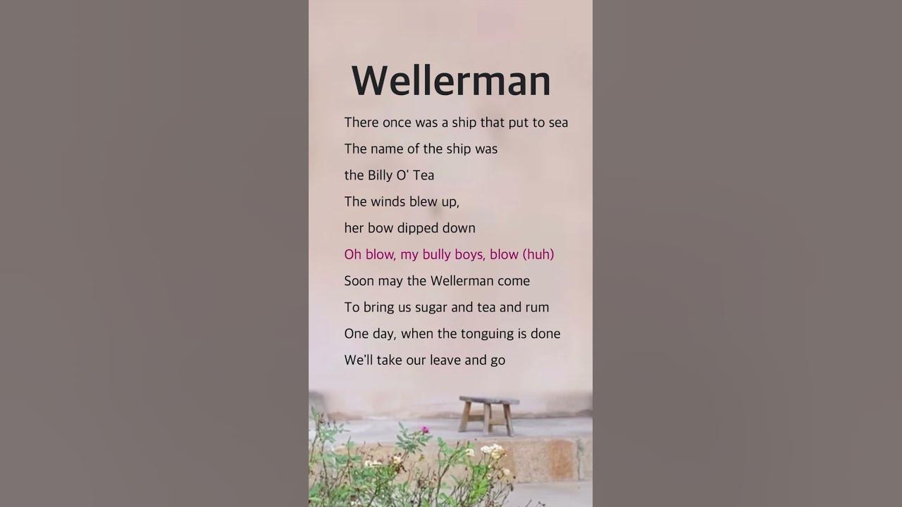 Wellerman | Nathan Evans and Santiano #lyrics
