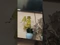 which plant is this? #indoorplants #plants #flower