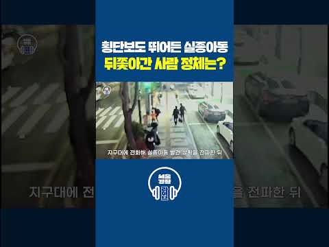 횡단보도 뛰어든 <strong>실종아동</strong>🧒 뒤쫓아간 사람의 정체는?! #서울경찰 #경찰