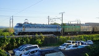 2015/09/19 貨物列車1055レ 代走EF66-117[吹]号機牽引東海道本線