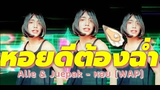 หอย (WAP) Alie & Juepak (Thai Version) PARODY [Bank Kung Cover]