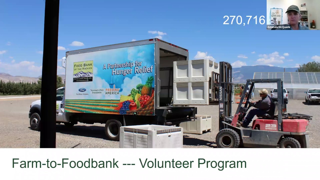 Community Alliance for Education and Hunger Relief Program with Amanda McQuade.