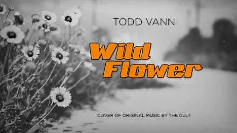 Todd Vann - Wild Flower (The Cult cover)