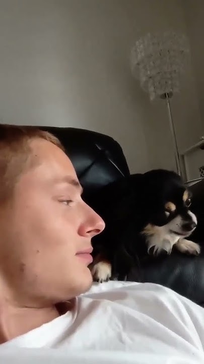 Очень хитрая собака 🐕‍🦺 😂😂 - YouTube