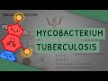 Mycobacterium tuberculosis - TB