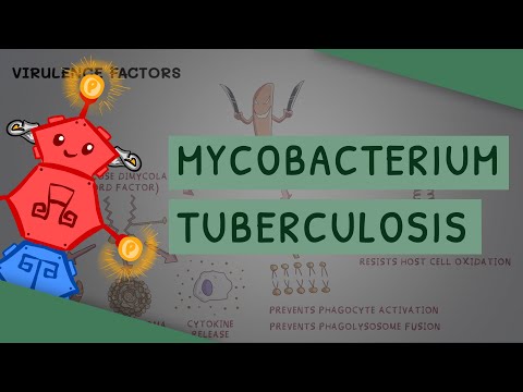 Video: Kur randama tuberkuliozės mikobakterija?