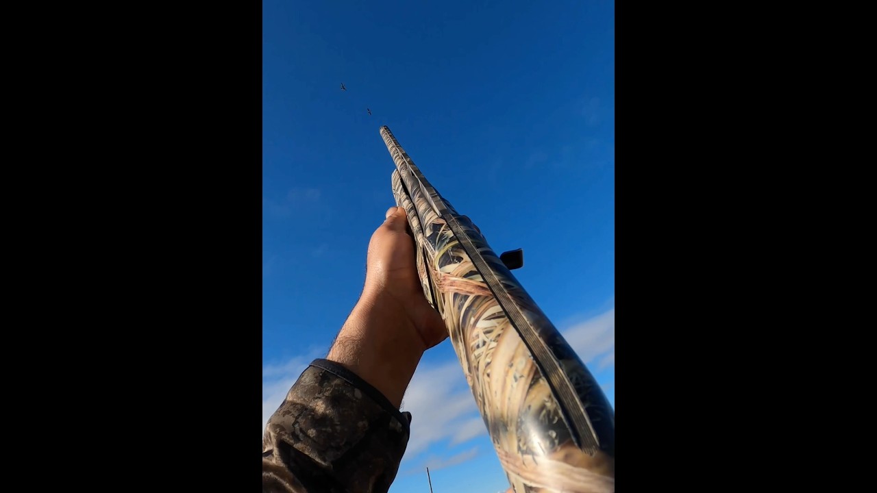 Which one of these shots you think looks better ? 