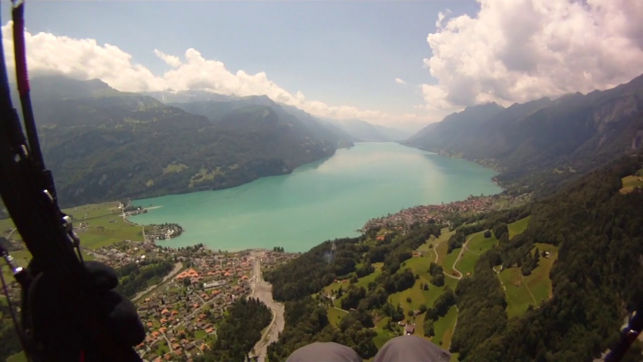 Territorial Common Buzzard performing a threat display at a paraglider