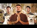 Des chiots pendant notre cours de yoga  feat maximebiaggi  ben