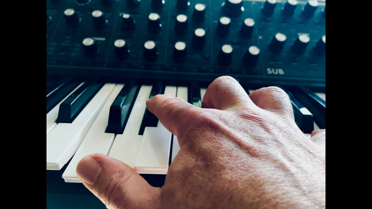 MOOG SUB 37- SKALP "Play my funky Music" !