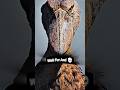 Scary Birds screaming 😲#wildanimals #animalsounds #shorts