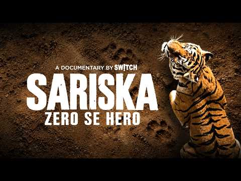 Sariska Tiger Reserve: From Zero to Hero | The Biggest Comeback