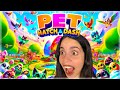 PET HATCH AND DASH : LIVE