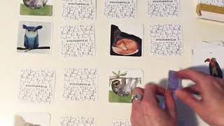 Animal memory game • dieren memory