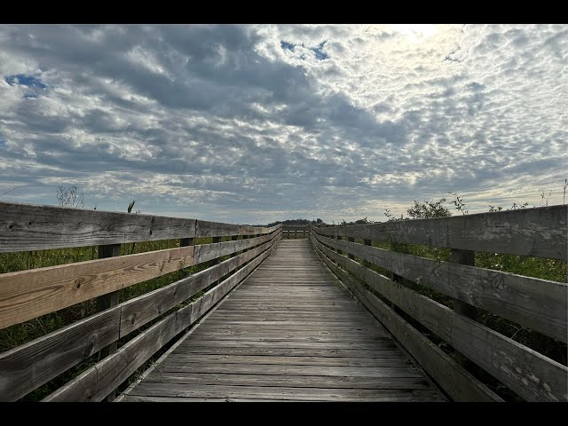 A visit to Wiechens Preserve