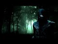 free ,Forest trees, shade, smoke,Thief Full Wallpapers Hd