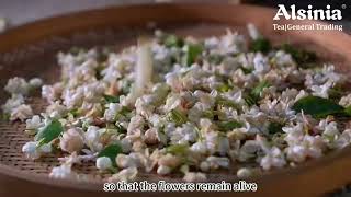 The Process Of Jasmine Tea