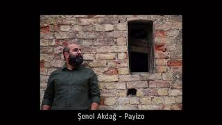 Şenol Akdağ - Payizo Resimi