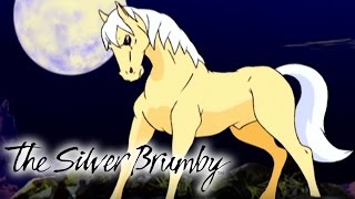 The Silver Brumby | Full Episodes 3639 | 2 HOUR COMPILATION | Silver Brumby Full Season