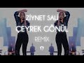 Ziynet Sali - Çeyrek Gönül ( Fatih Yılmaz Remix )