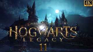 Hogwarts Legacy Gameplay Deutsch 11 - Verschiedene Aufgaben und neue Zauber