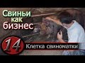 В ГОСТЯХ У СВИНОМАТКИ