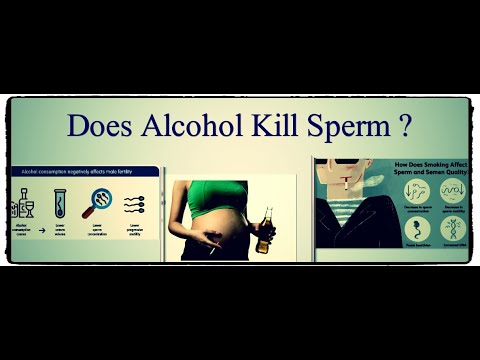 کیا شراب سپرم کو مار دیتی ہے؟ اور دیگر زرخیزی کے حقائق۔تعرف على تاثير الكحوليات على السائل المنوى