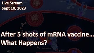 After 5 shots of the mRNA vaccine, what happens?  Alarming fact about cellular immunity