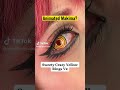 Elevate Your Chainsawman Makima Cosplay: Contact Lenses for Animated, Anime, and Fan Art Versions! 🩸