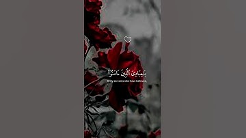 "يا عبادي الذين آمنوا إن أرضي واسعة فإياي فاعبدون" تلاوة خاشعة عبدالرحمن مسعد #قرآن  