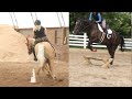 Changing Disciplines? Our Barrel Racer!