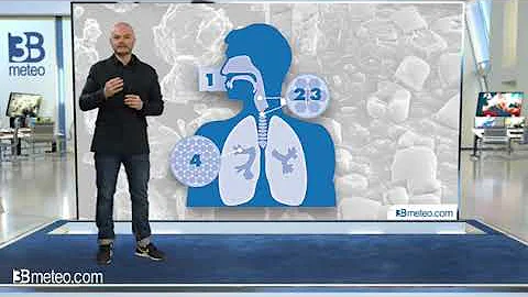 Qual è il livello in μg di PM 2 5 medio annuale nei limiti di legge?