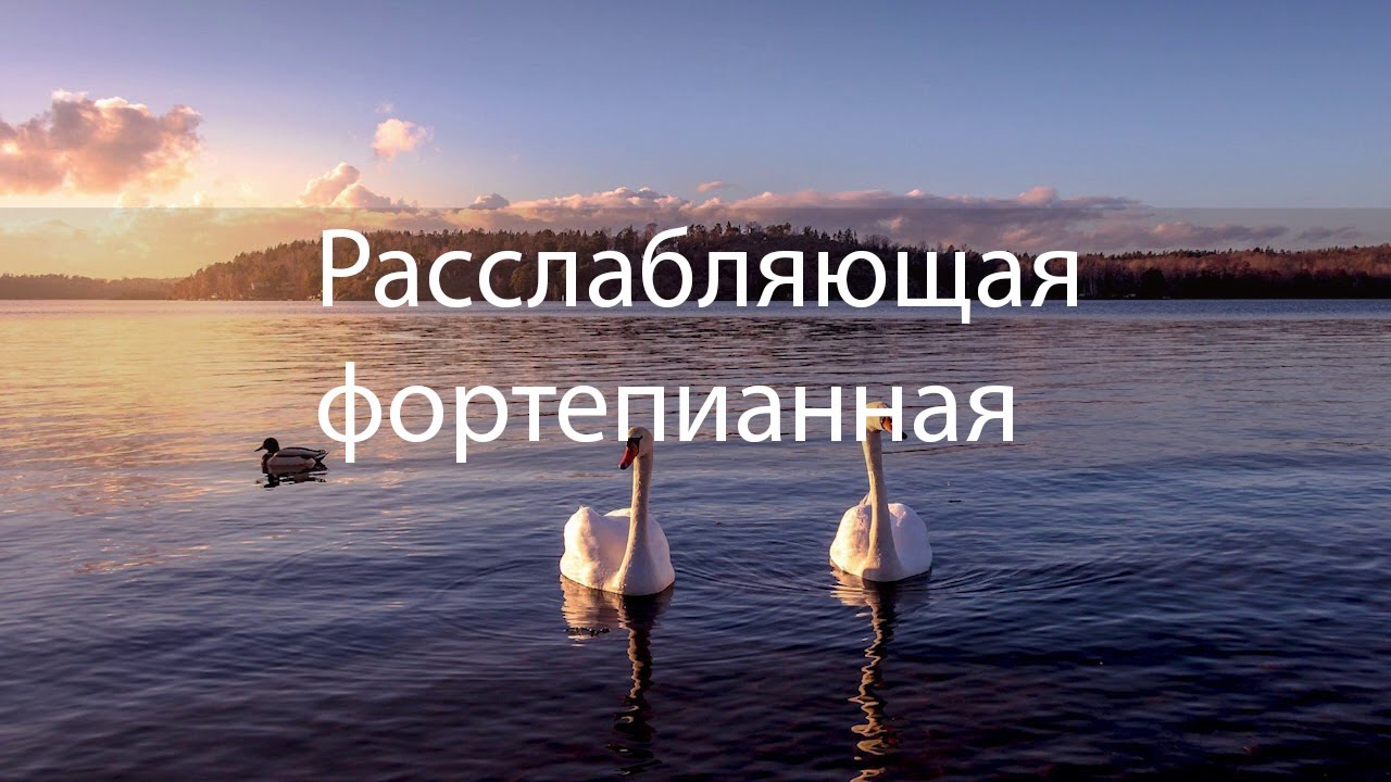 Слушать расслабляющие звуки. Успокаивающая картинка для нервной системы слушать.