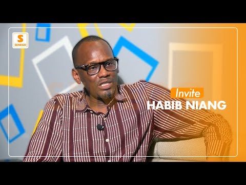 Transhumance, défaite de Bby à Thiès, profil du prochain PM… : Habib Niang en parle sur Senego-TV