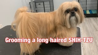 🐾Maintenance of a long haired Shih-tzu/ Long haired Shih-tzu getting groomed 🐾