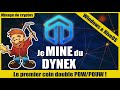 Miner du dynex windows et hiveos  minage  dnx  paramtres doc des cartes graphiques