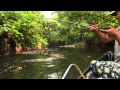 Papuan black bass fishing part2 with gong lei