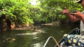 Papuan Black Bass Fishing part-2 with Gong Lei